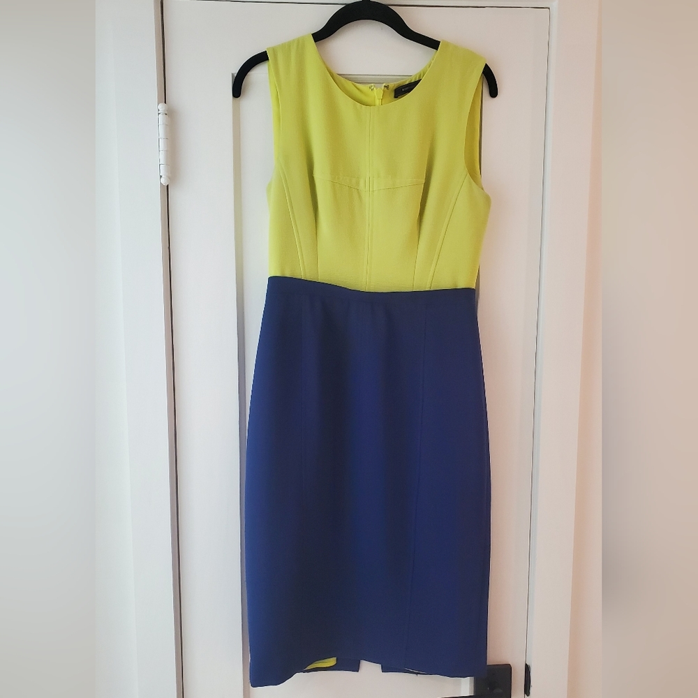 BCBG Color block Dress